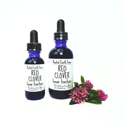 Red Clover Tincture