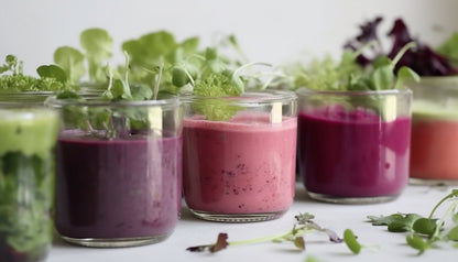 SuperFood - Concentrated Microgreen Powder - Freeze Dried