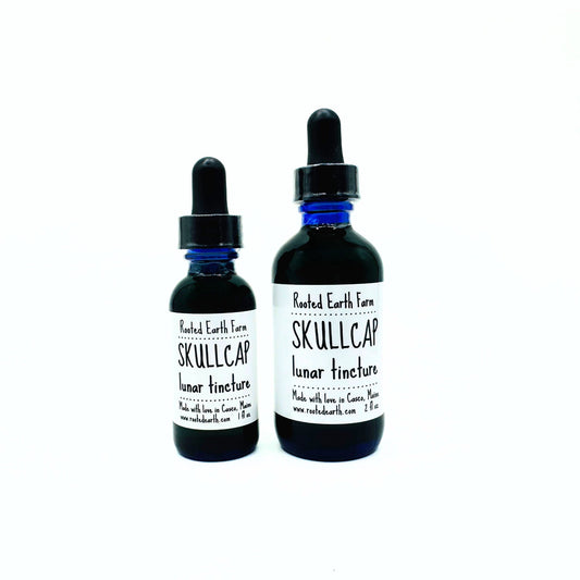 Skullcap Tincture