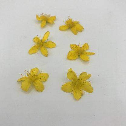 St. John's Wort Tincture